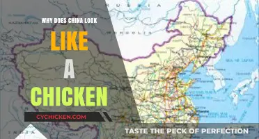 Why China's Map Resembles a Chicken: A Geopolitical Perspective