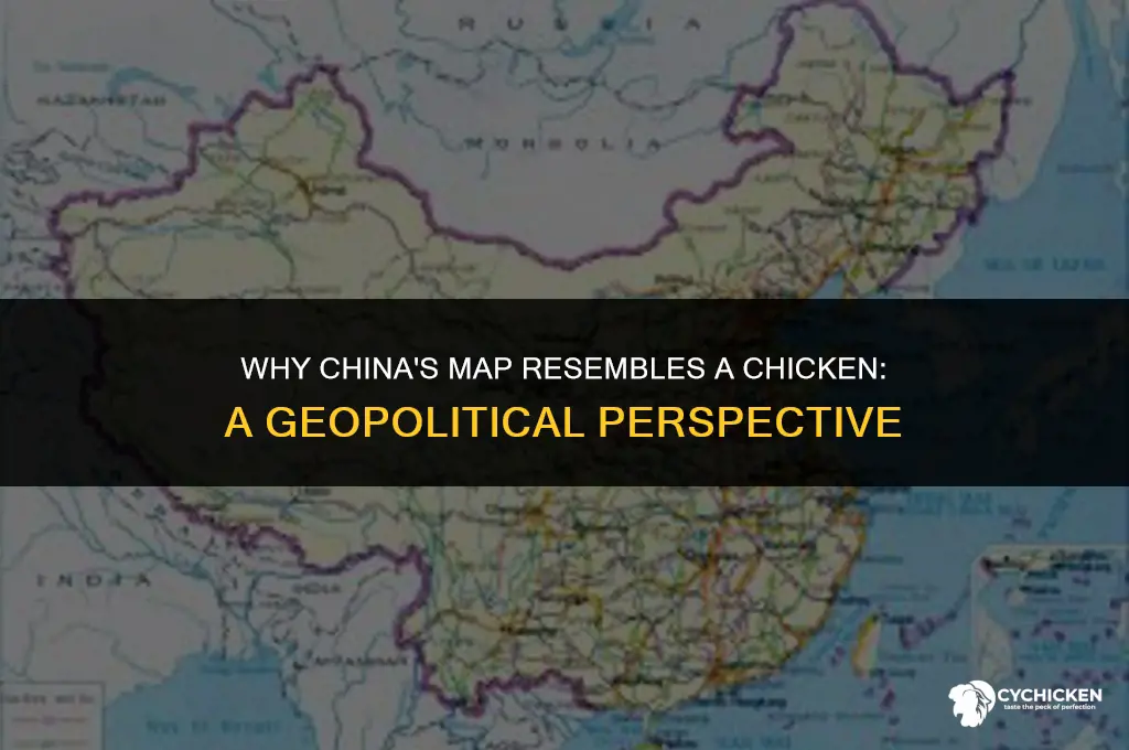 why does china look like a chicken