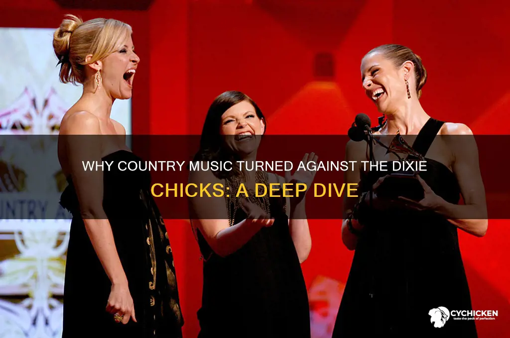 why does country music hate the dixie chicks