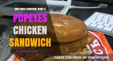Why the Popeyes Chicken Sandwich Craze Captivates Everyone's Taste Buds