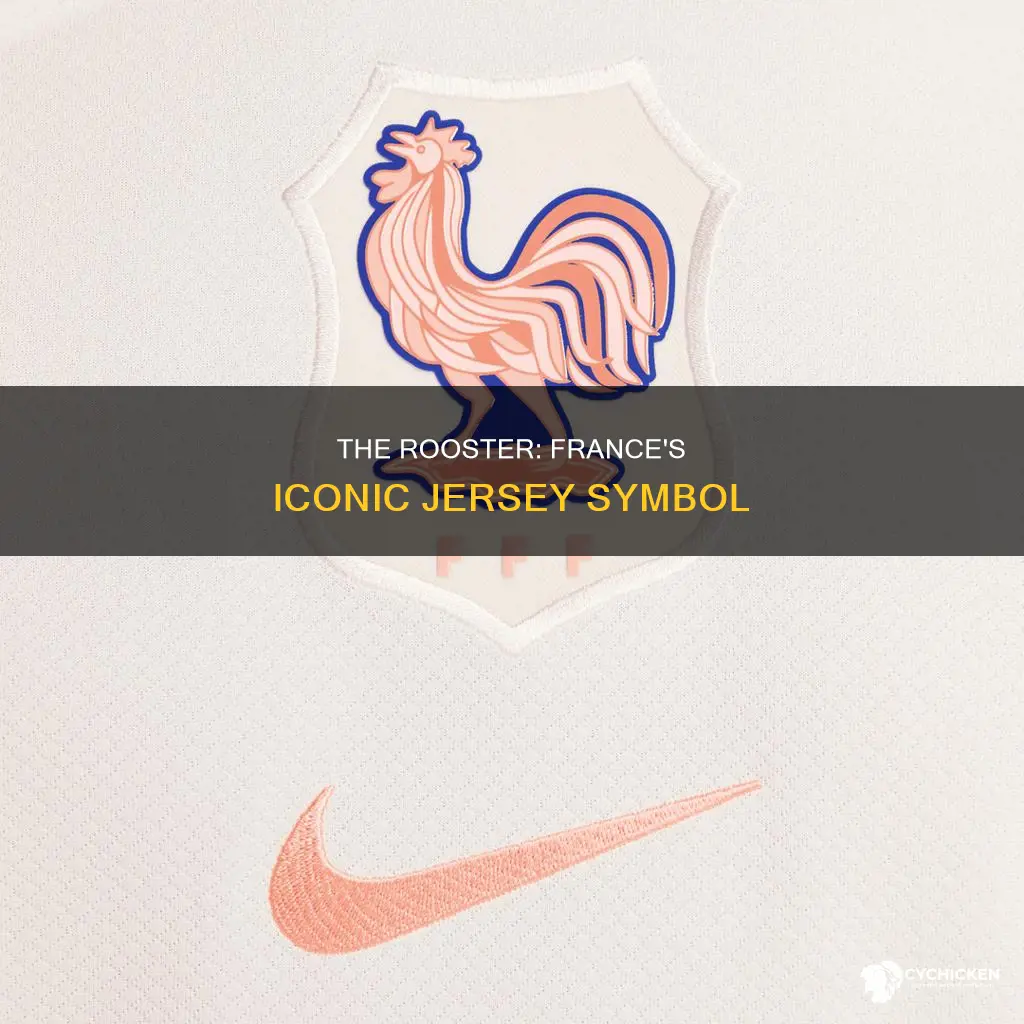 why does france have a chicken on their jersey