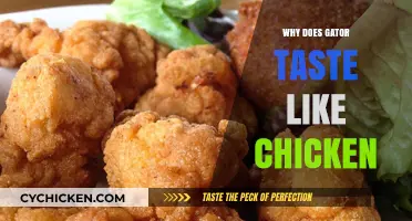 Unraveling the Mystery: Why Gator Meat Tastes Surprisingly Like Chicken