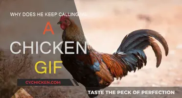 How a GIF Can Explain Your Relationship