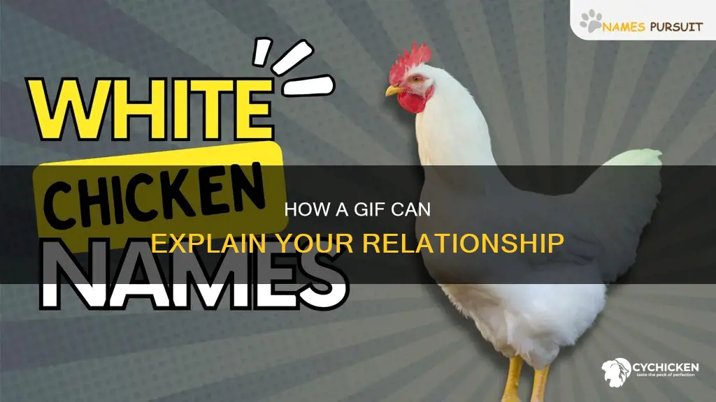 why does he keep calling me a chicken gif