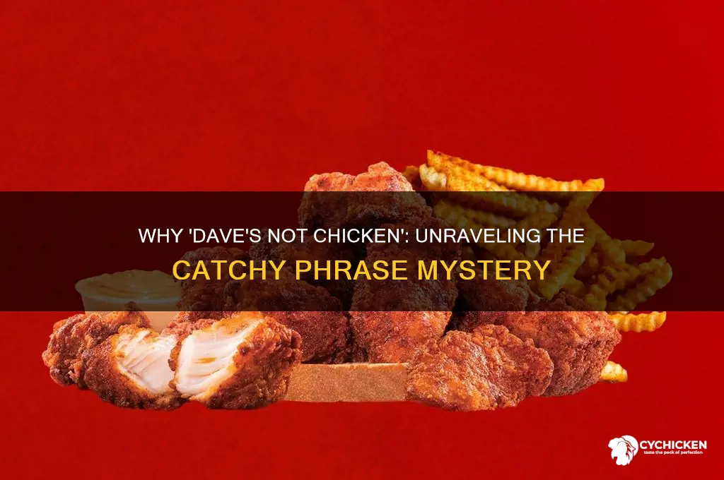 why does it say dave