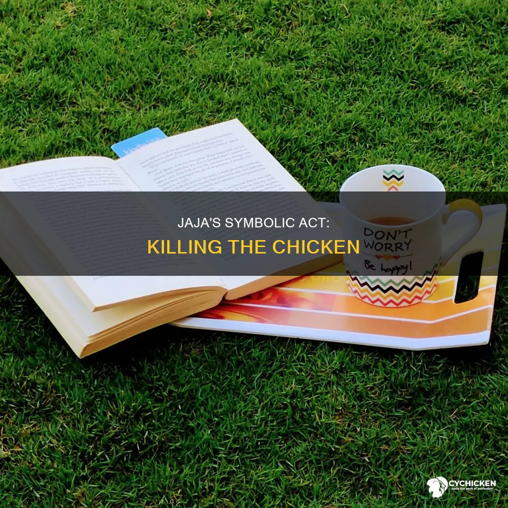 why does jaja kill the chicken in purple hibiscus