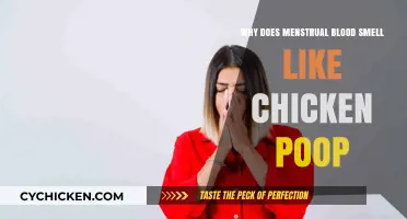 Unraveling the Mystery: Menstrual Blood Odor Explained