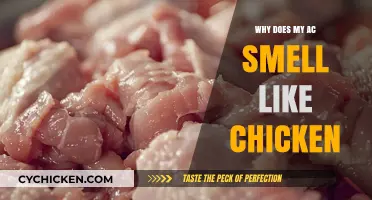 Why Does My AC Smell Like Chicken? Causes and Solutions