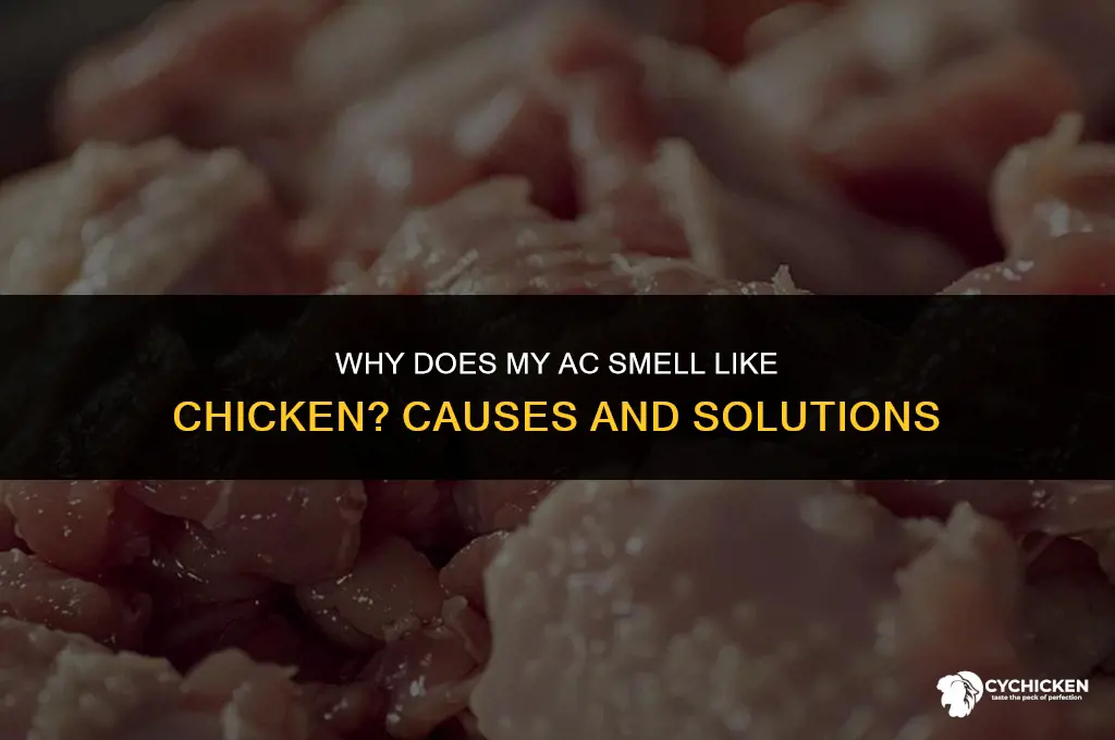 why does my ac smell like chicken