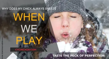 Playing with My Chick: Why the Sneezes?
