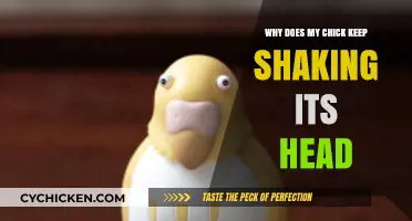 Why Does My Chick Keep Shaking Its Head? Causes and Solutions