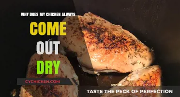 Avoid Dry Chicken: Master Moistness with These Cooking Secrets
