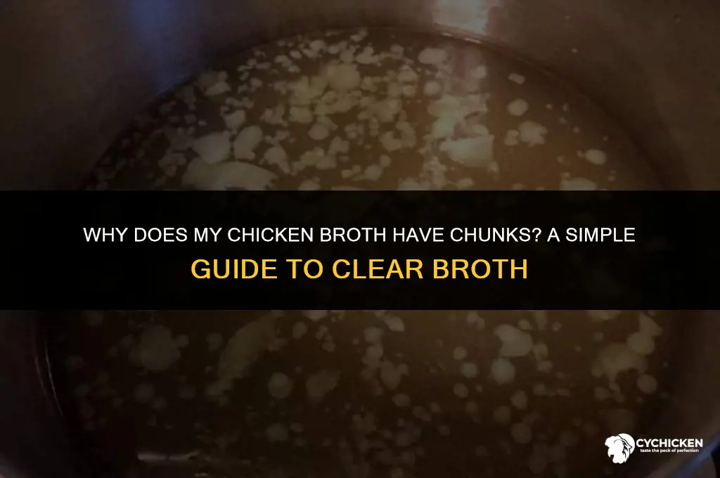why does my chicken broth have chunks