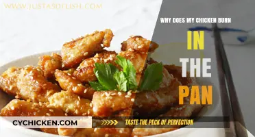 Preventing Pan-Fried Chicken from Burning: Tips for Perfectly Cooked Poultry