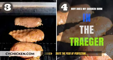 Preventing Chicken Burnout: Mastering Traeger Grill Techniques for Perfect Results