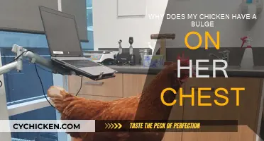 What's That Bulge? Chicken Chest Problems Explained