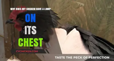 Is Your Chicken's Chest Lump Harmful?