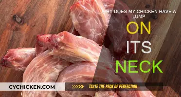 Neck Lump on Chicken: What It Could Mean