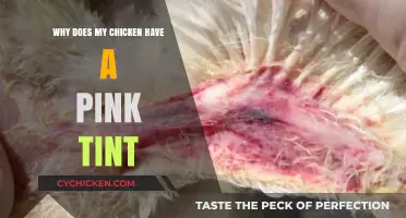 Why Your Chicken Has a Pink Tint: Causes and Safety Tips