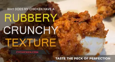 Rubbery Chicken: Why Crunchy Texture Happens and How to Fix It