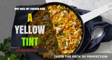 Why Your Chicken Has a Yellow Tint: Causes and Concerns