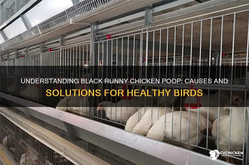 why does my chicken have black runny poop