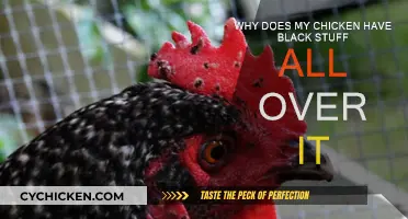 Black Stuff on Chicken: What and Why?