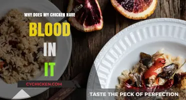 Why Does My Chicken Have Blood? Understanding Raw Meat Appearance