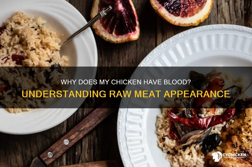 why does my chicken have blood in it
