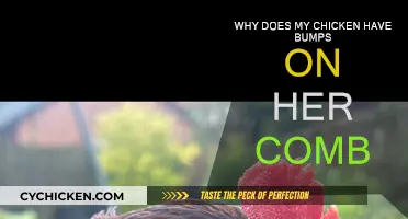 Comb Bumps: What's Wrong with My Chicken?