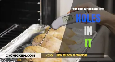 Why Does My Chicken Have Holes? Causes and Solutions Explained