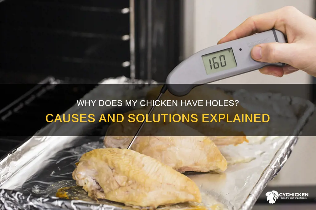 why does my chicken have holes in it