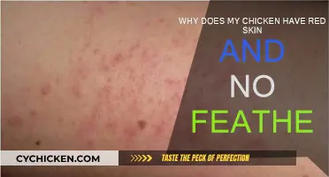 Red Skin, No Feathers: What's Wrong with My Chicken?