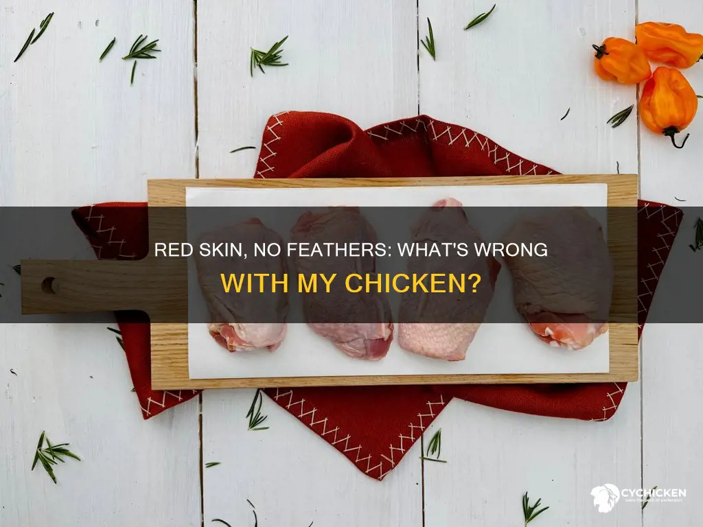 why does my chicken have red skin and no feathers