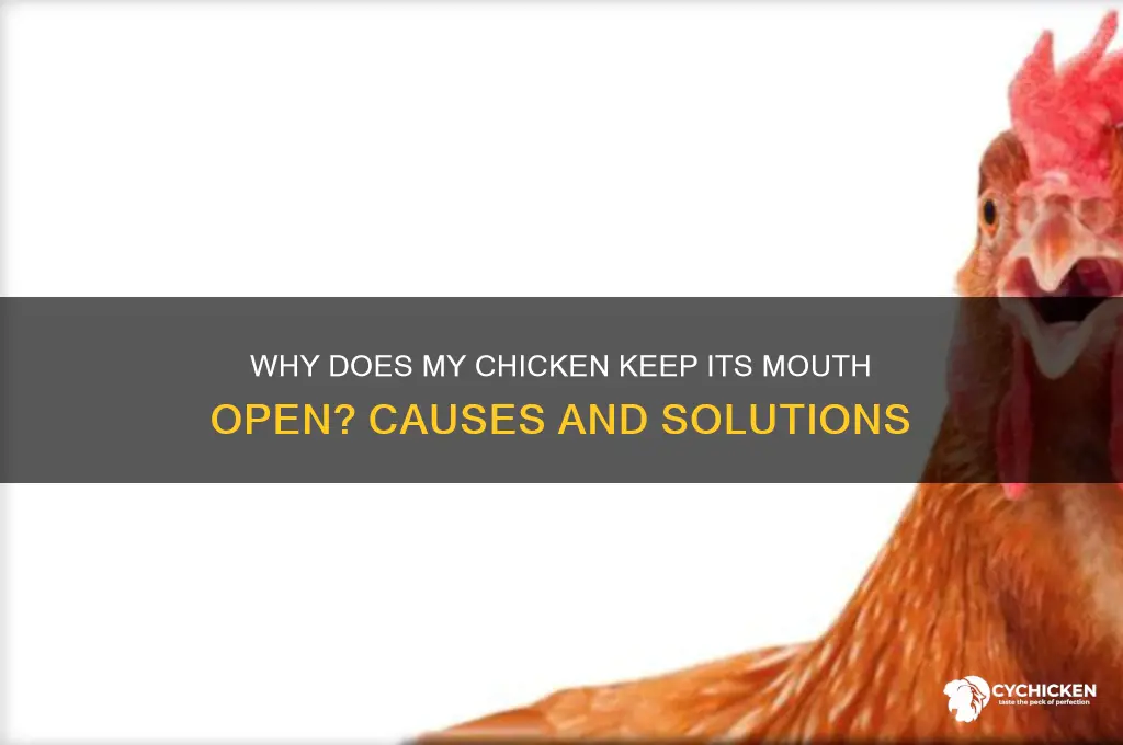 why does my chicken keep its mouth open