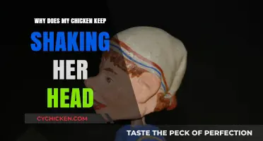 Why Does My Chicken Keep Shaking Her Head? Causes and Solutions