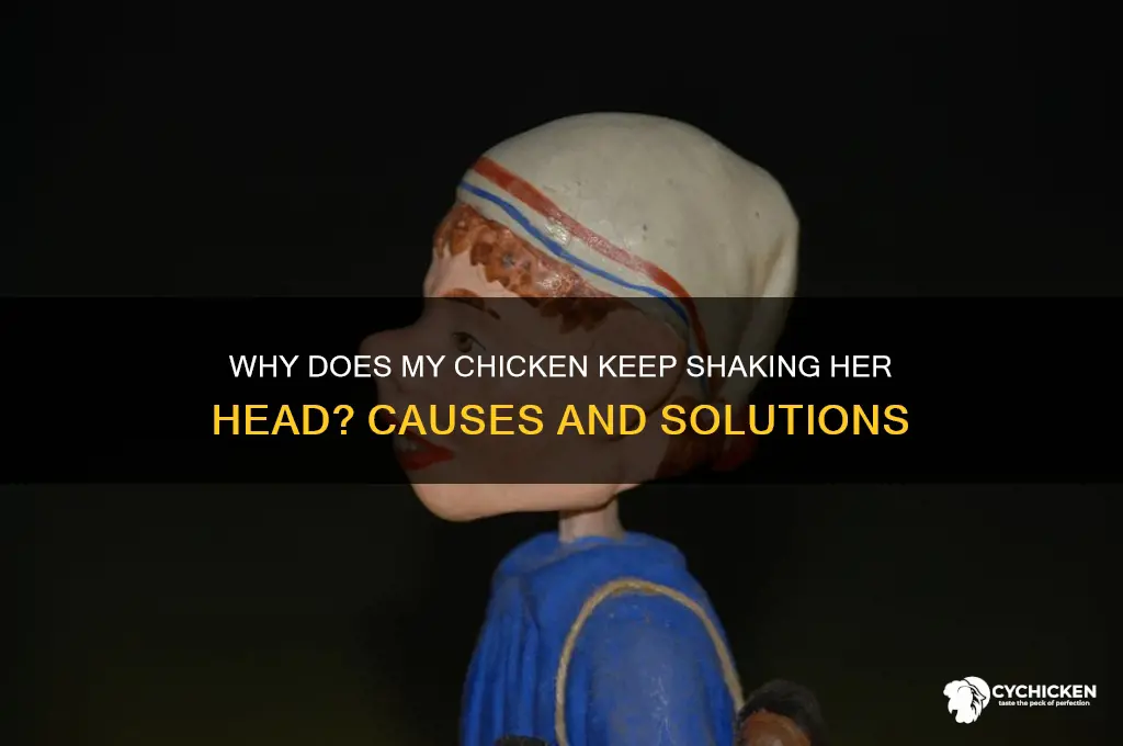 why does my chicken keep shaking her head