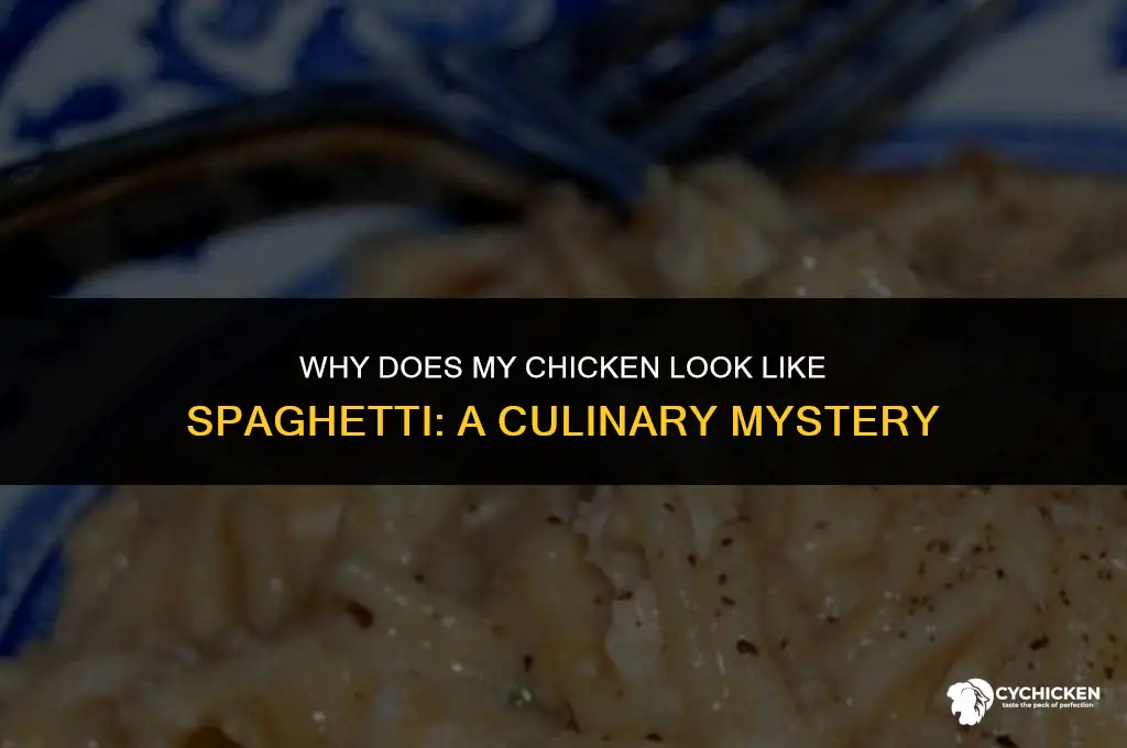 why does my chicken look like spaghetti