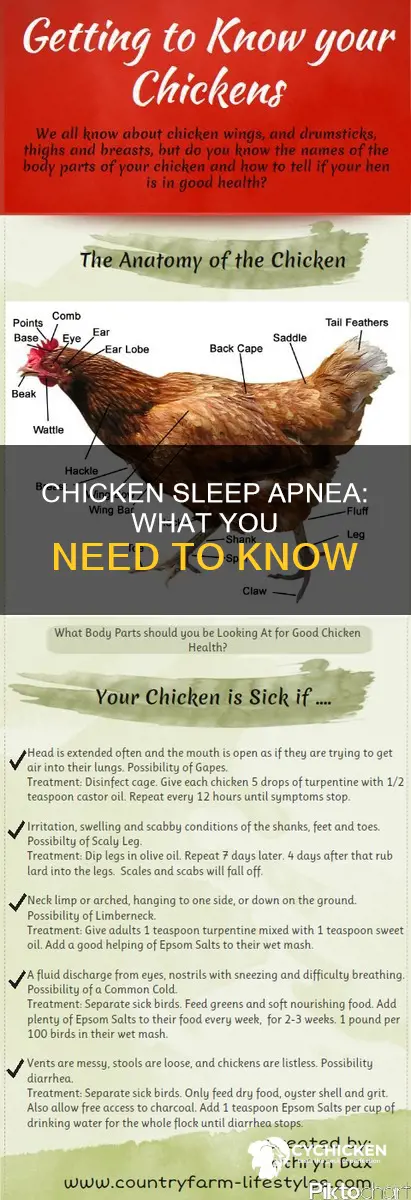 why does my chicken sleep and have trouble breathing
