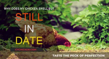 Fresh Chicken, Why the Smell?