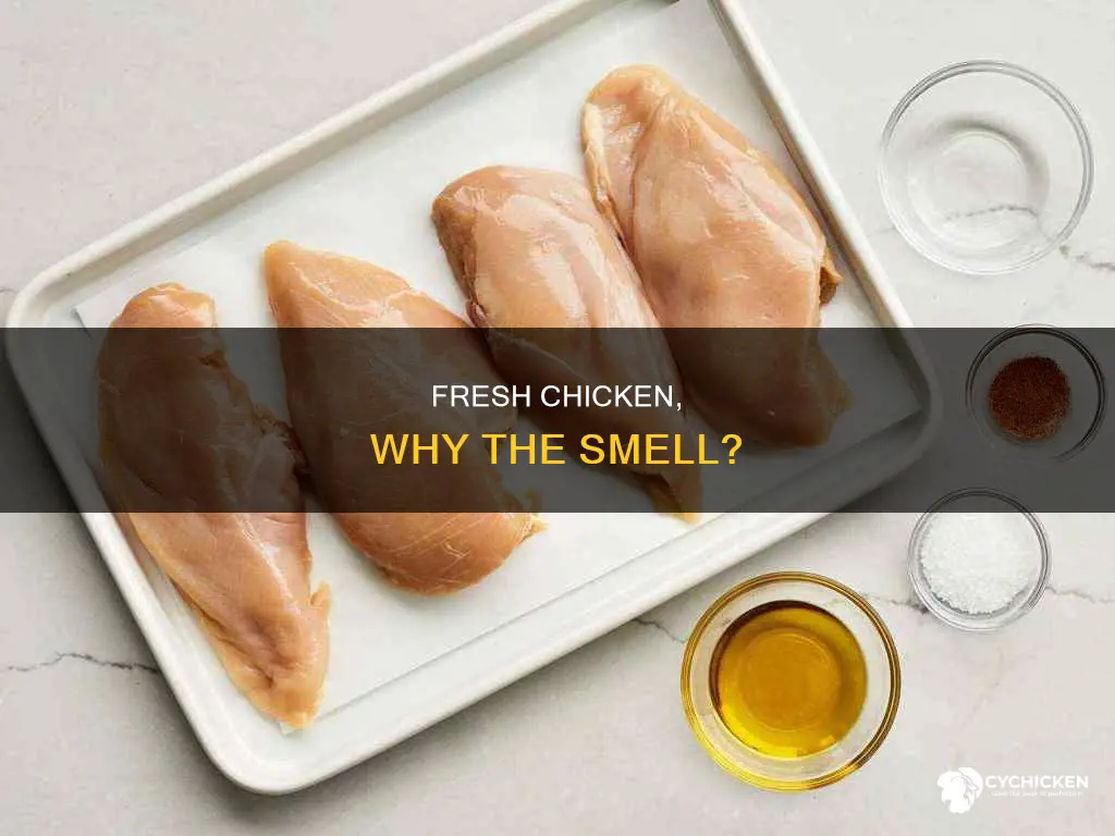 why does my chicken smell but still in date