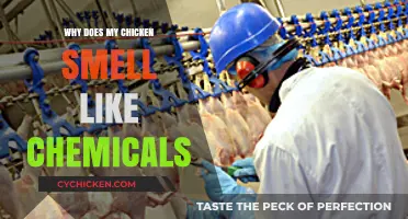 Unraveling the Mystery: Why Your Chicken Smells Like Chemicals