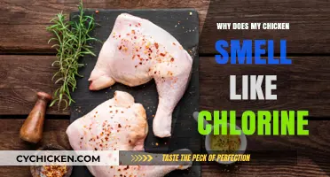Why Your Chicken Smells Like Chlorine: Causes and Solutions
