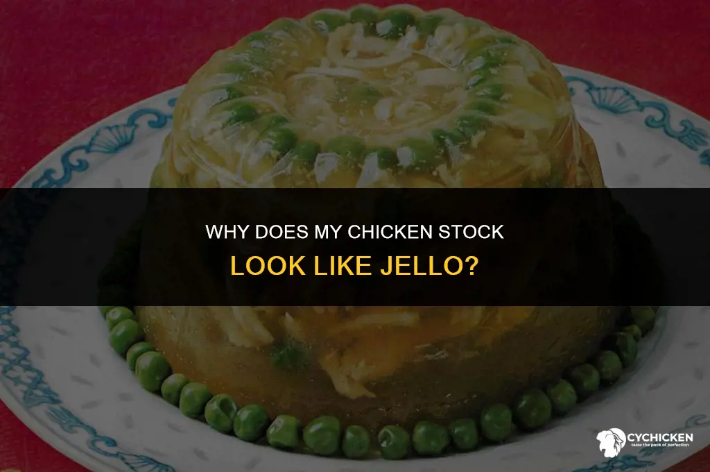 why does my chicken stock look like jello