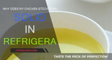 Chilled Chicken Stock: Why Does It Turn Solid?