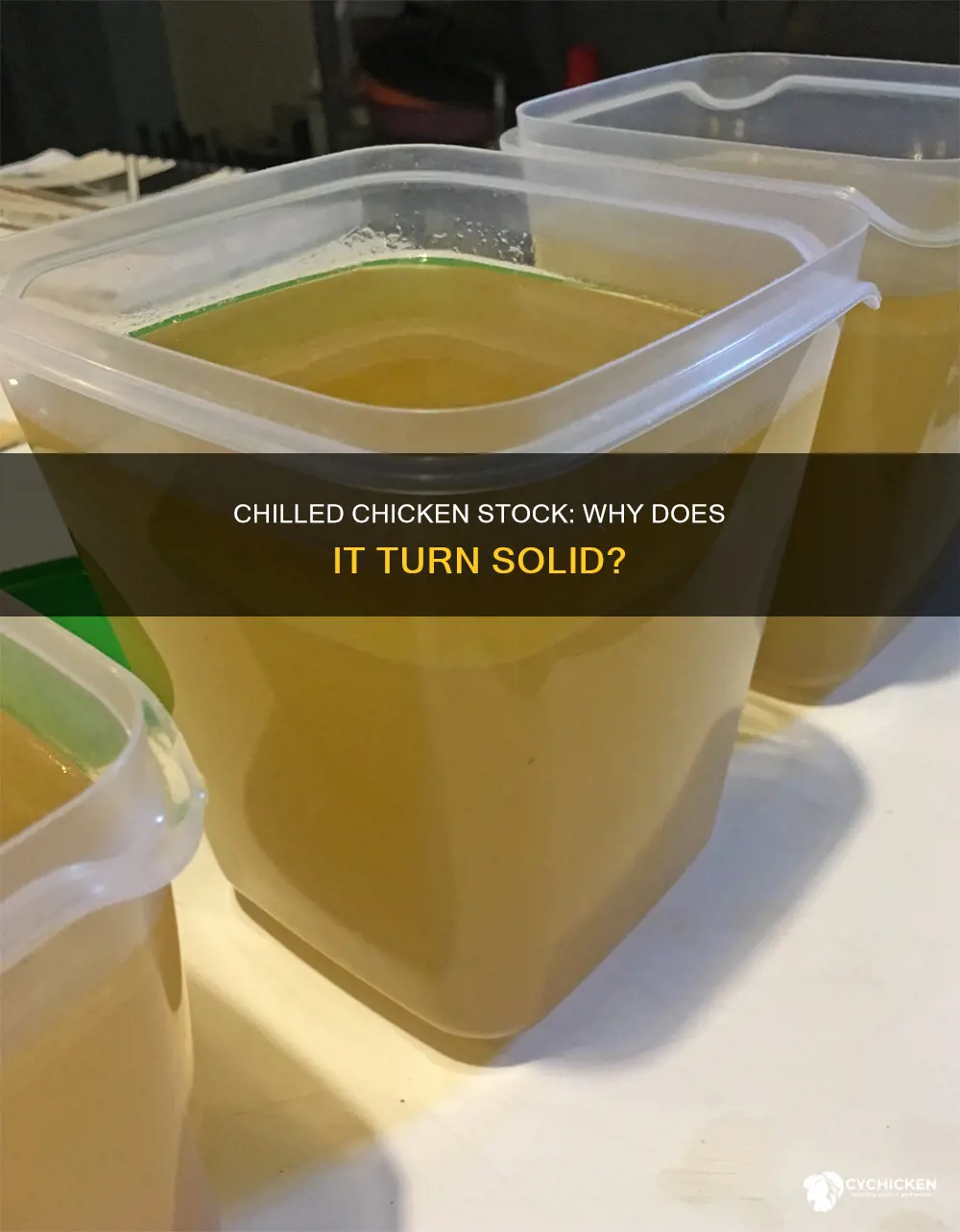 why does my chicken stock turn solid in refrigerator
