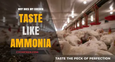 Unpleasant Poultry: Why Your Chicken Might Taste Like Ammonia