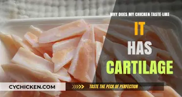 Why Your Chicken Tastes Like Cartilage: A Culinary Mystery Solved
