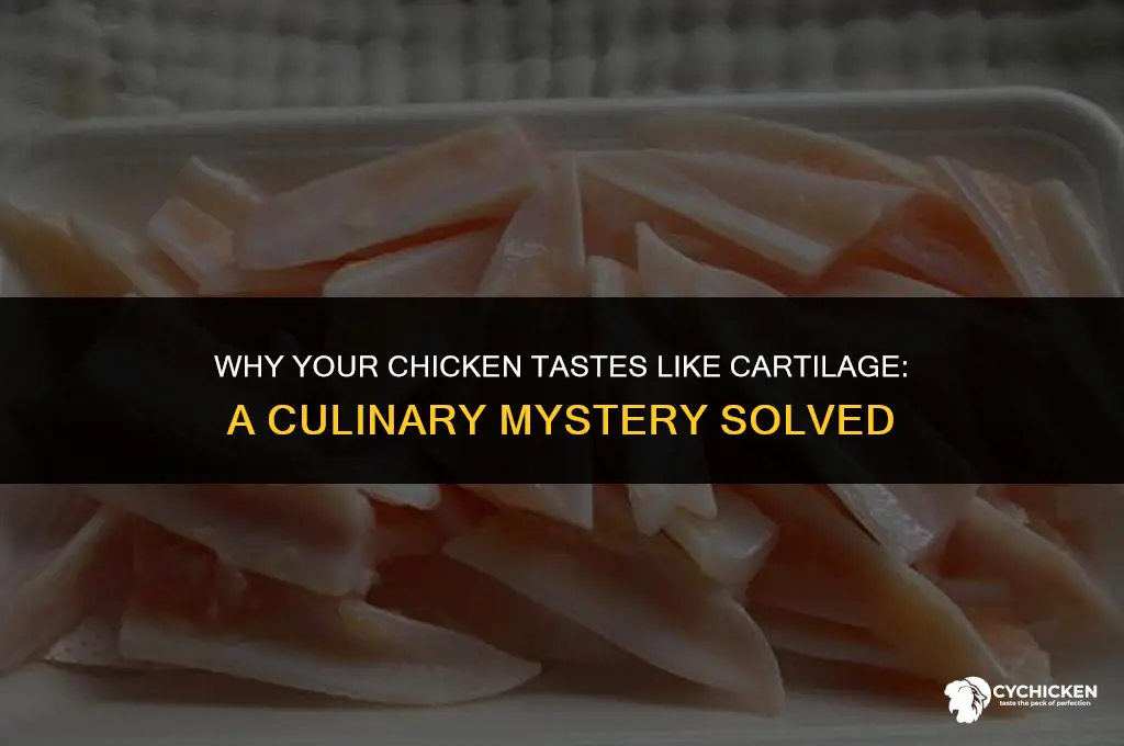why does my chicken taste like it has cartilage