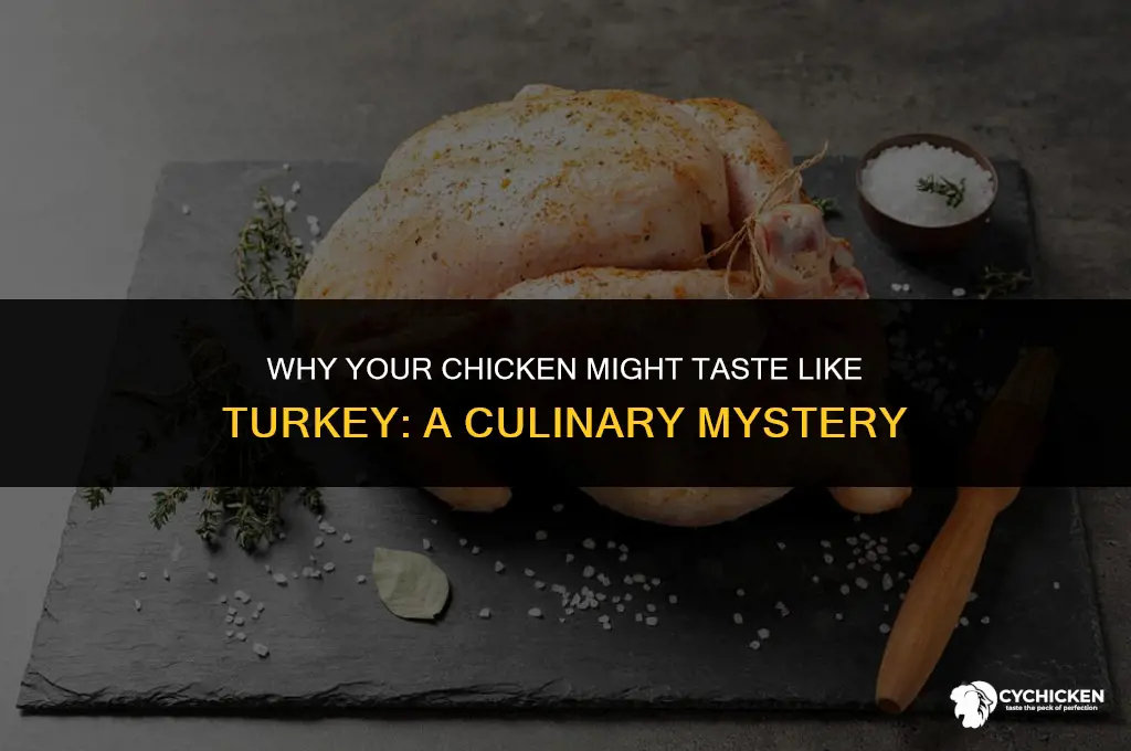 why does my chicken taste like turkey